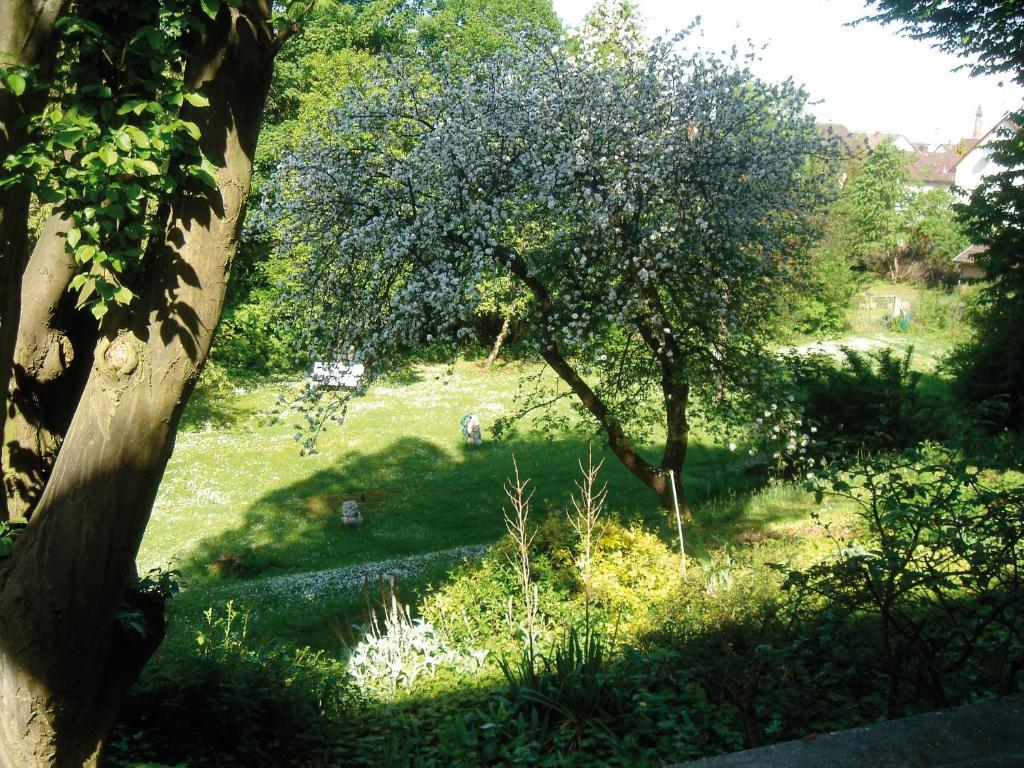 Bredl In Der Ballestrem Straubing